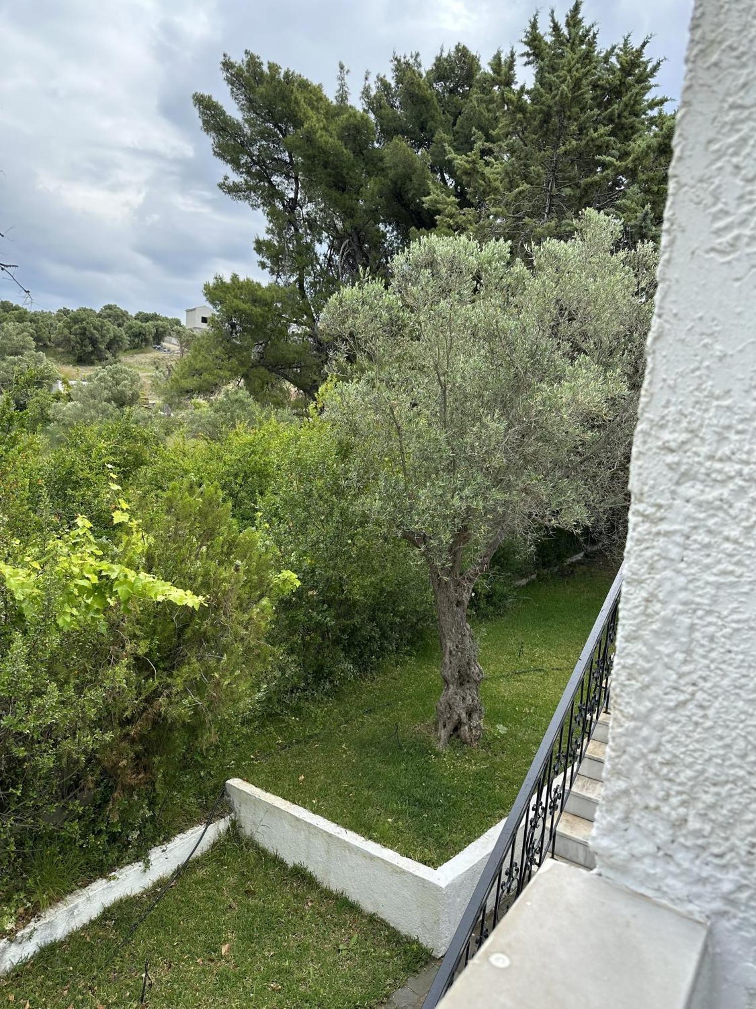 Sophies Olive Haven פוסידי מראה חיצוני תמונה